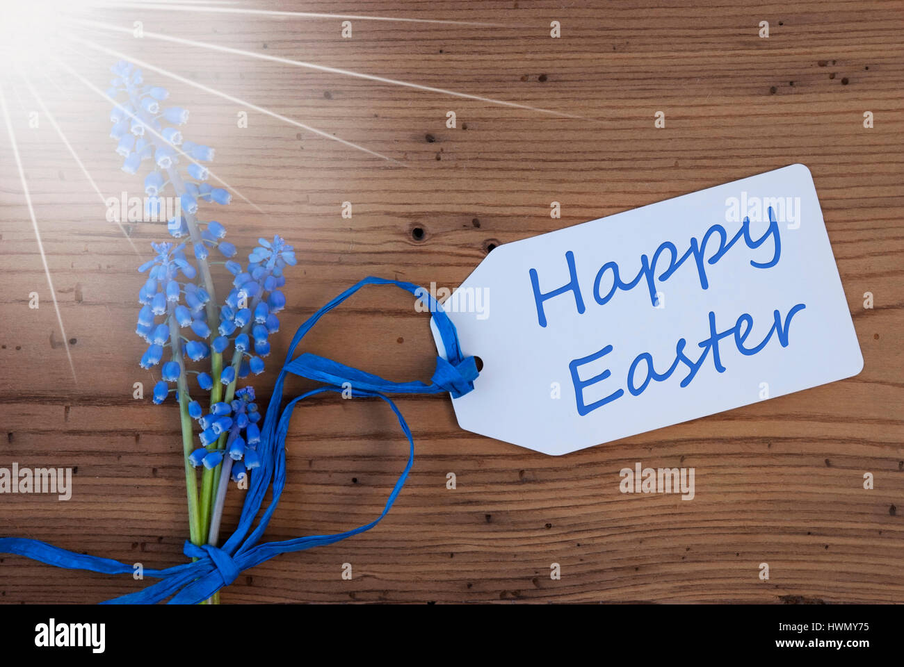Sunny Srping Grape Hyacinth, Label, Happy Easter Stock Photo