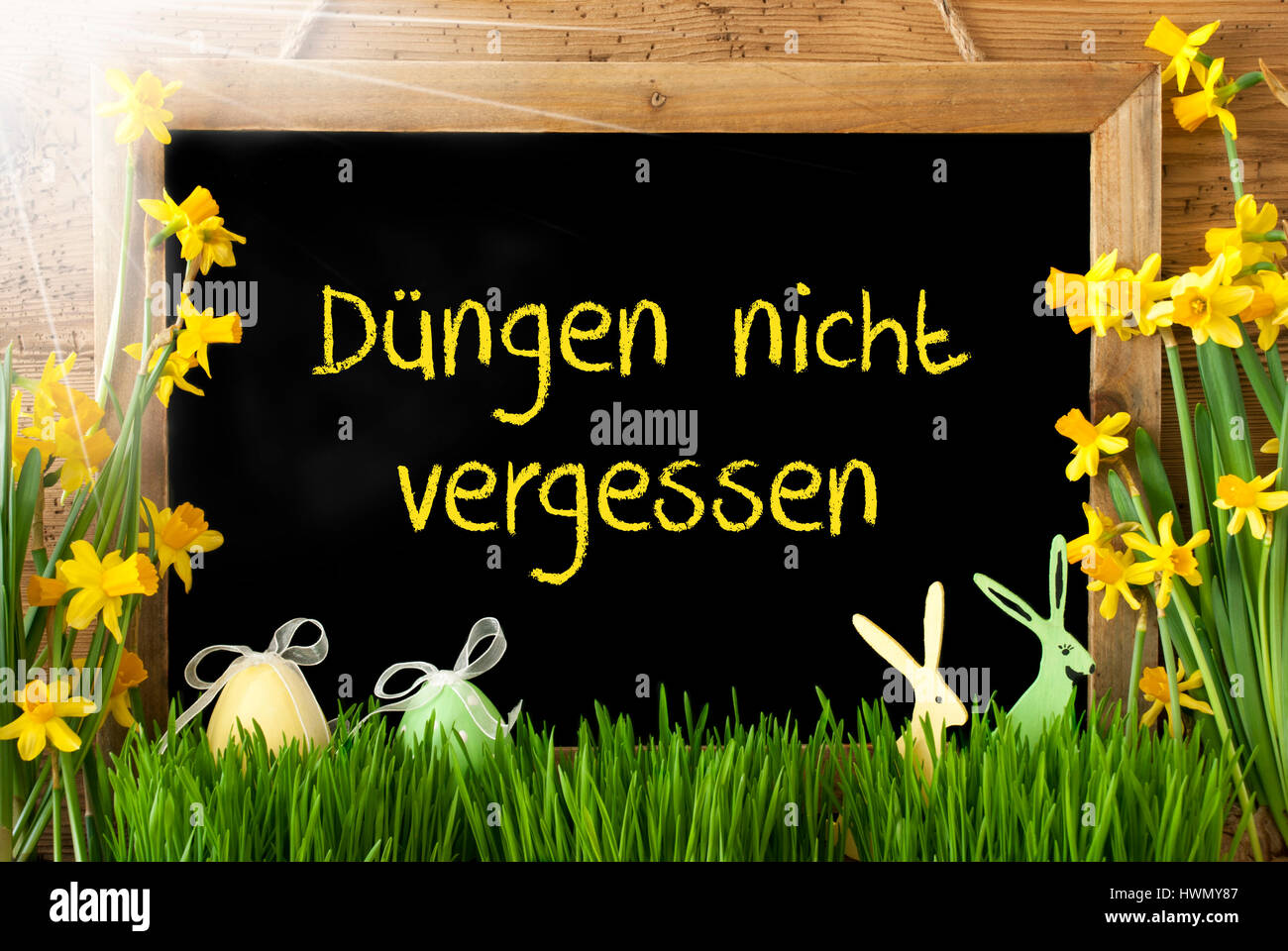 Sunny Narcissus, Egg, Duengen Nicht Vergessen Means Not Forget Dung Stock Photo