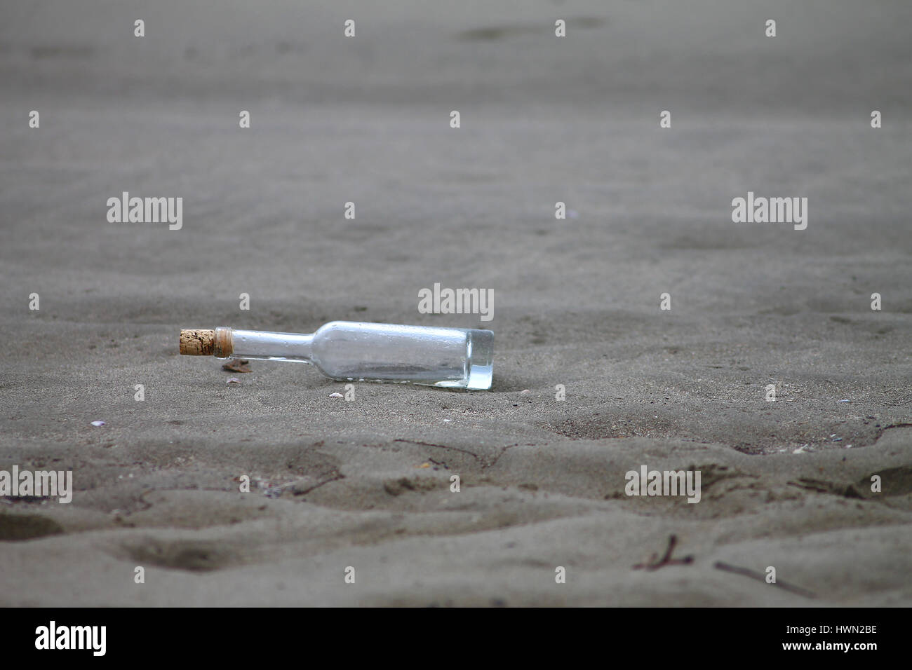 Empty bottle on a shore close up Stock Photo
