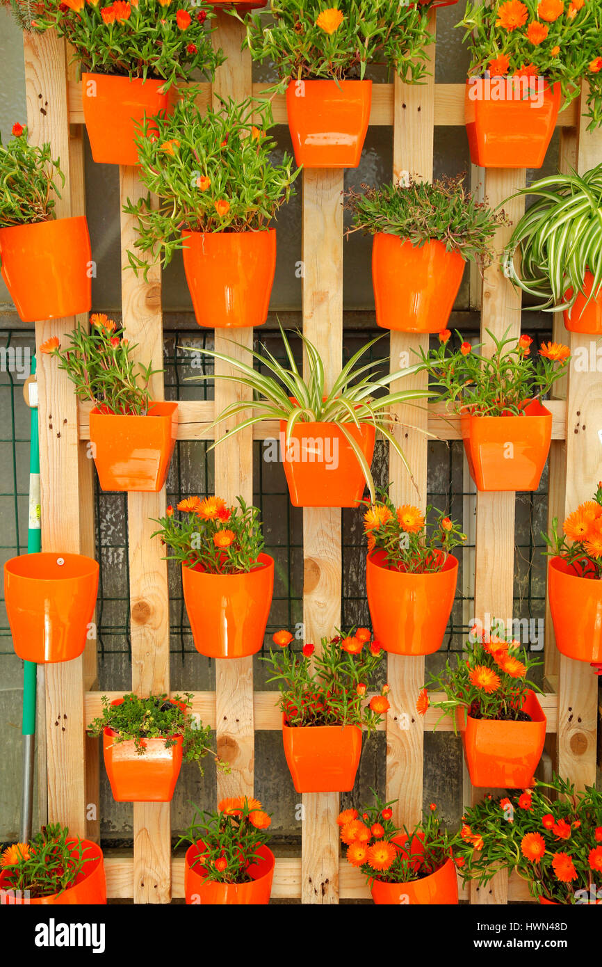 Hanging flower arrangement hi-res stock photography and images - Alamy
