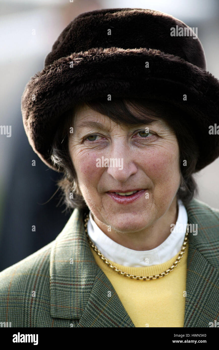 Trainer henrietta knight at the cheltenham festival hires stock