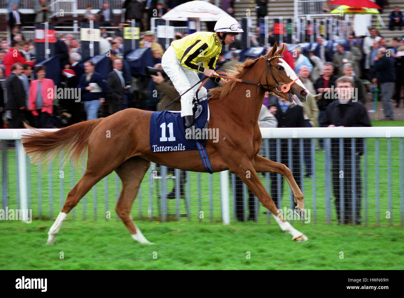 Toffee nosed hires stock photography and images Alamy