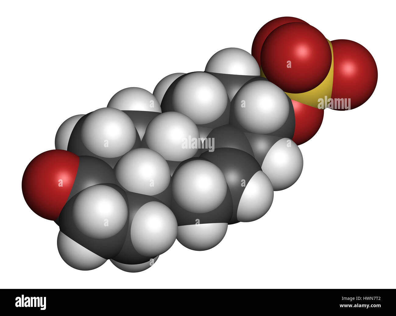 Dehydroepiandrosterone sulfate (DHEAS) natural hormone molecule. 3D
