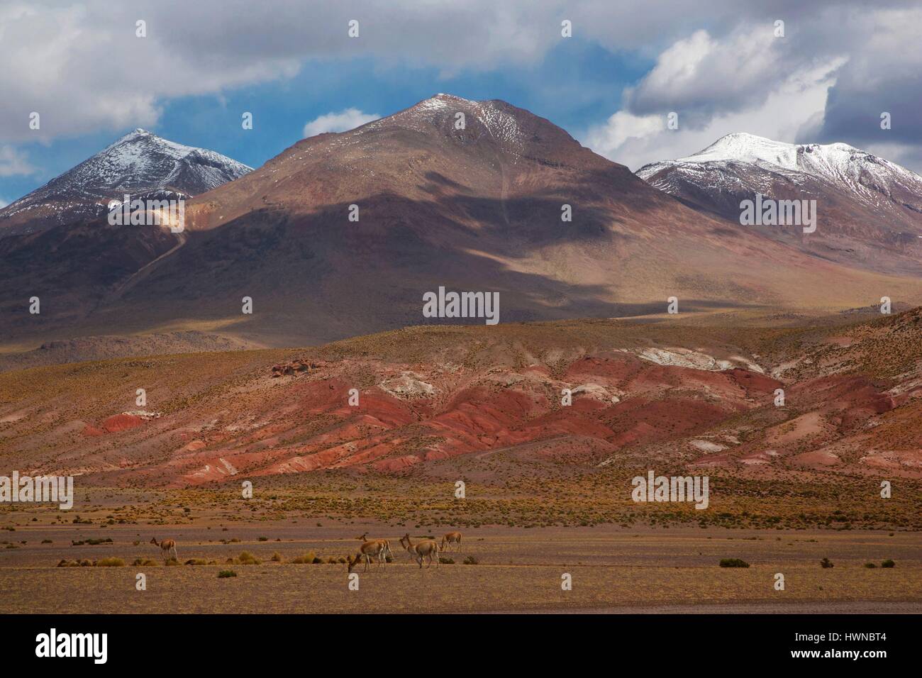 Bolivie High Resolution Stock Photography And Images Alamy