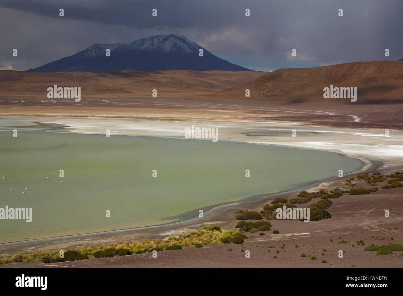 Bolivie, altiplano, department of Potosi, laguna onda, salt lake of Laguna onda in the middle of the mountains of the altiplano Stock Photo