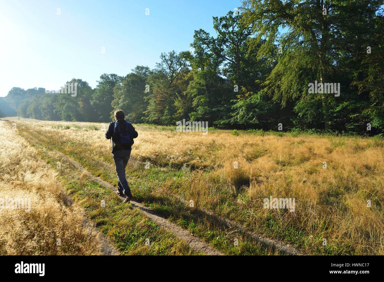 Beaux hauts hi-res stock photography and images - Alamy
