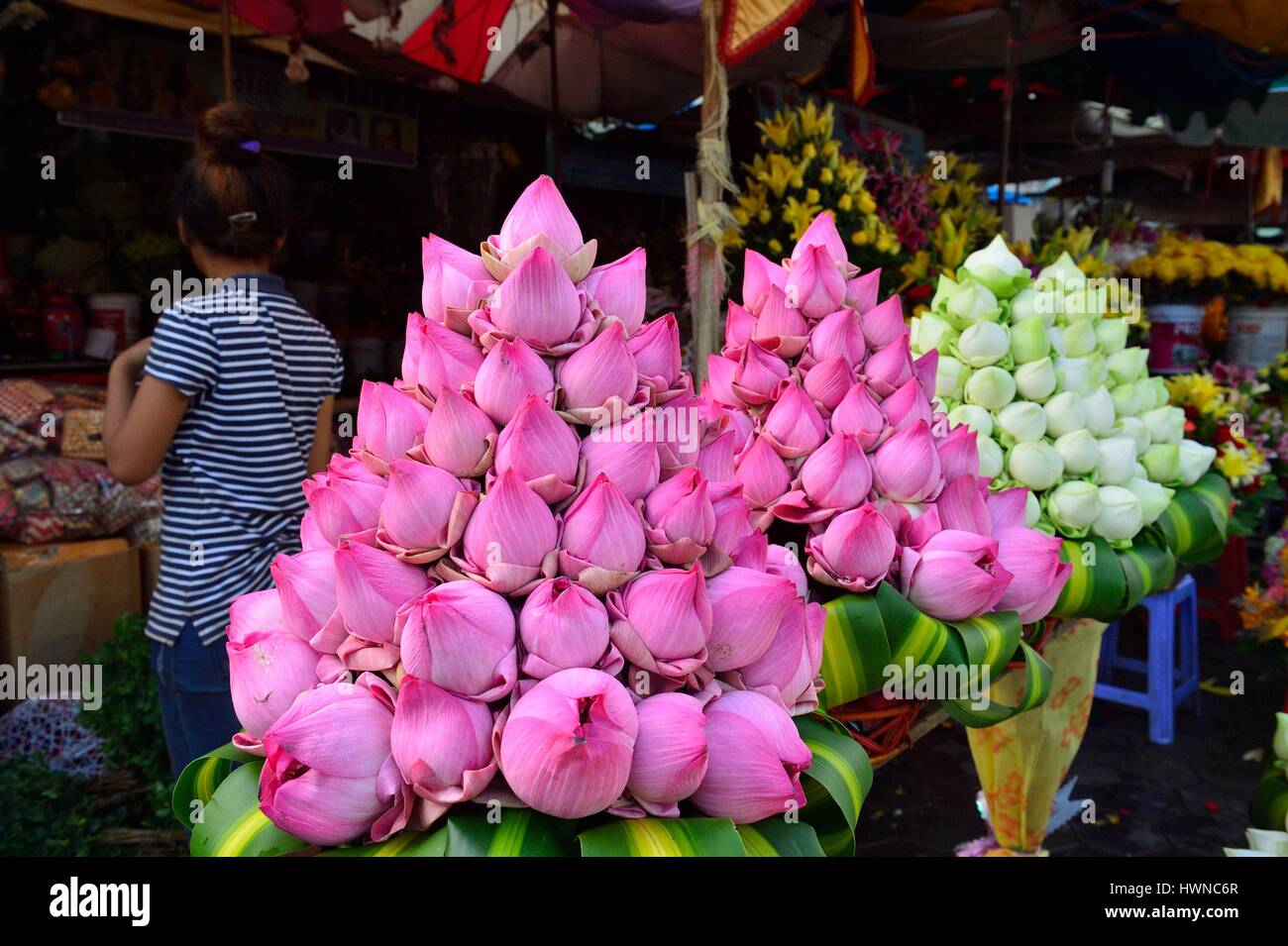 Cambodia, Phnom Penh, lotus flowers for offerings Stock Photo Alamy