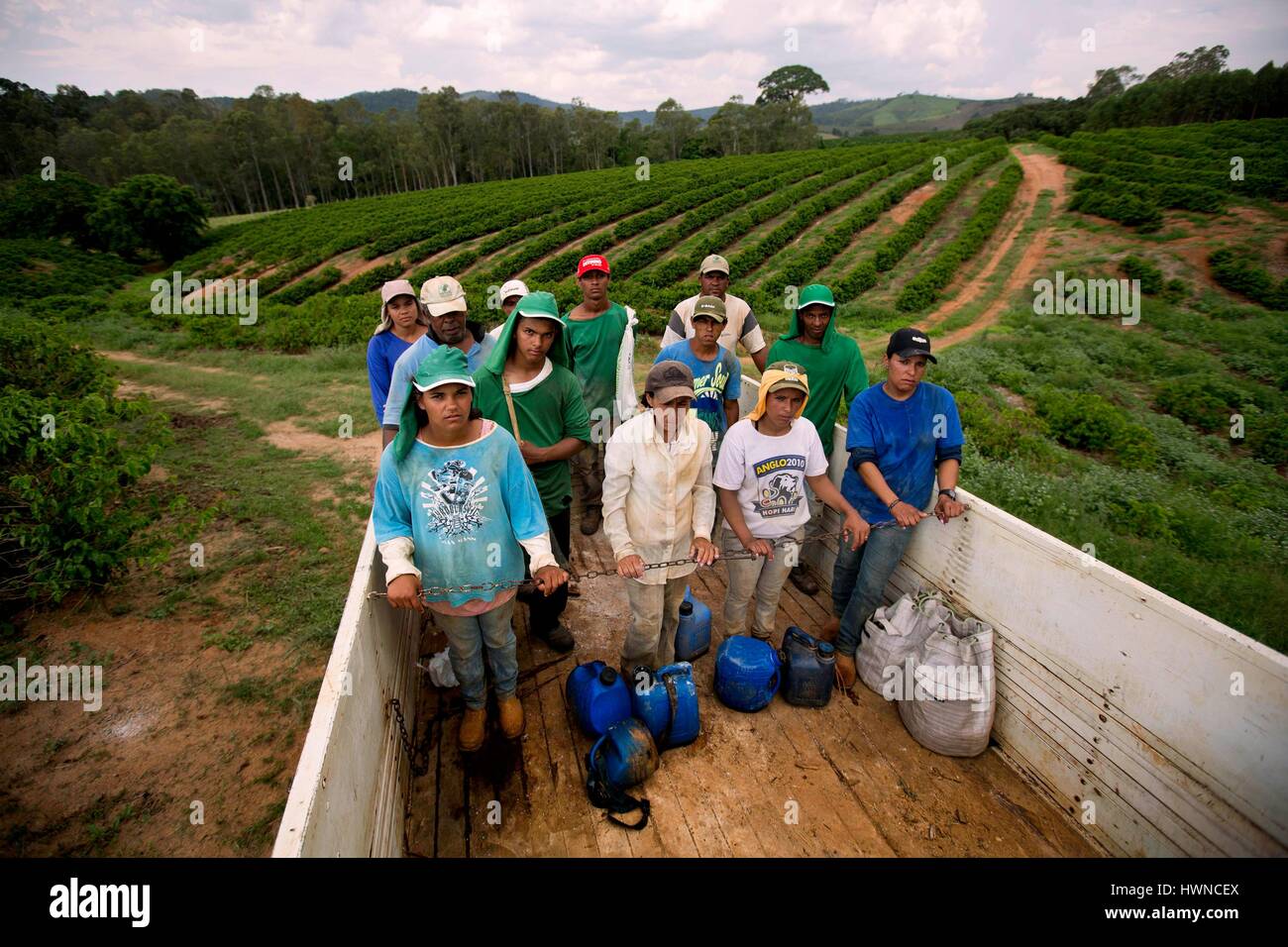 Brazil, Minas Gerais, Muzambinho, (North of Sao Paulo), fazenda (a coffee  farm within a plantation), Nossa Senhora da Apareida (Our Lady of  Aparecida), a member of the Nespresso AAA program. A truck