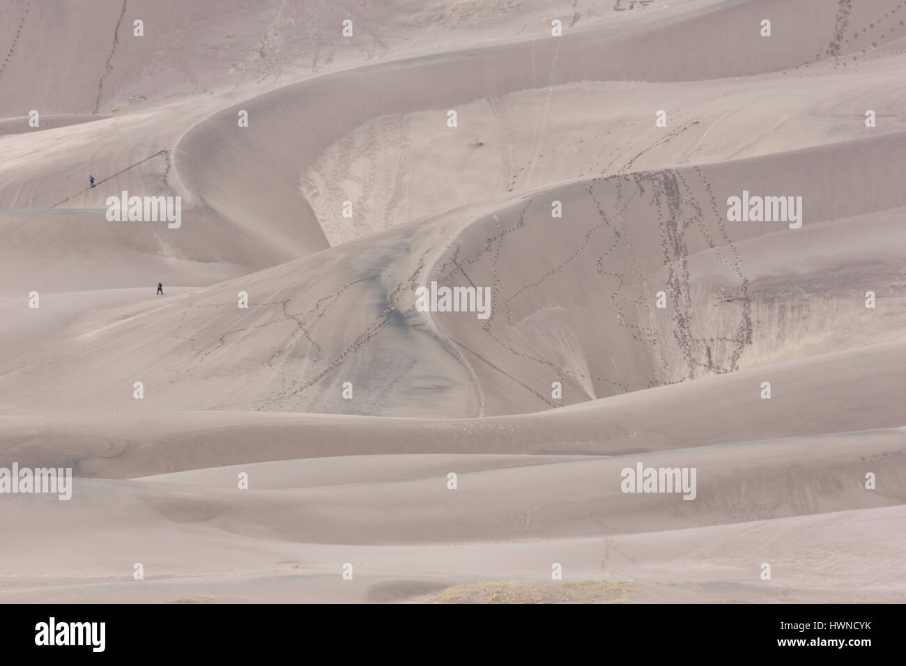 Swirling ridges and patterns of sand create the tourist attraction of the tallest dunes in North America at Great Sand Dunes National Park and Preserv Stock Photo