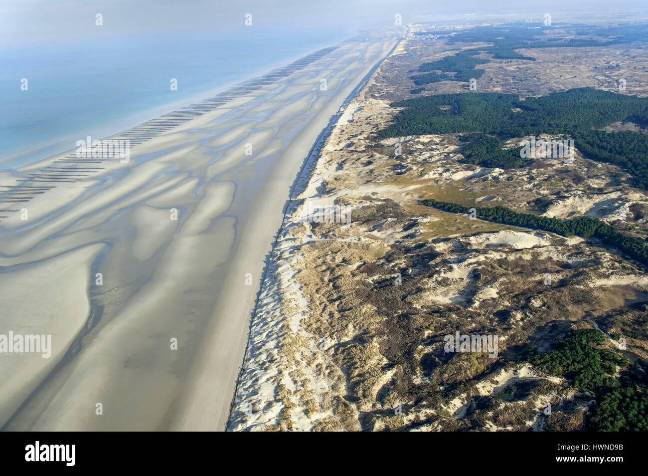 France, Somme, Baie de Somme, Parc du Marquenterre, it is located in the heart of the National Nature Reserve of the Baie de Somme (aerial view) Stock Photo