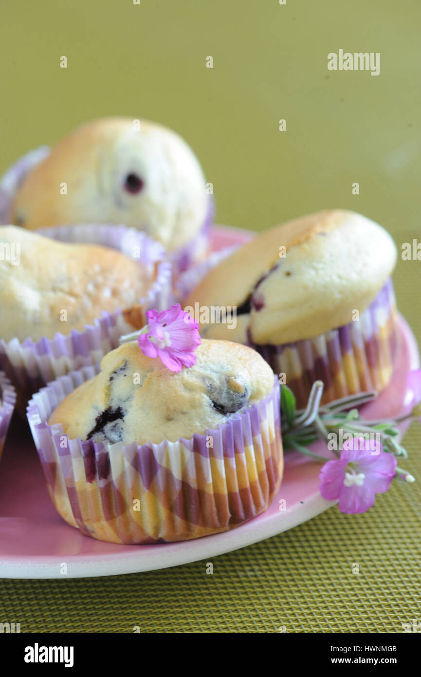Muffins aux myrtilles Stock Photo Alamy