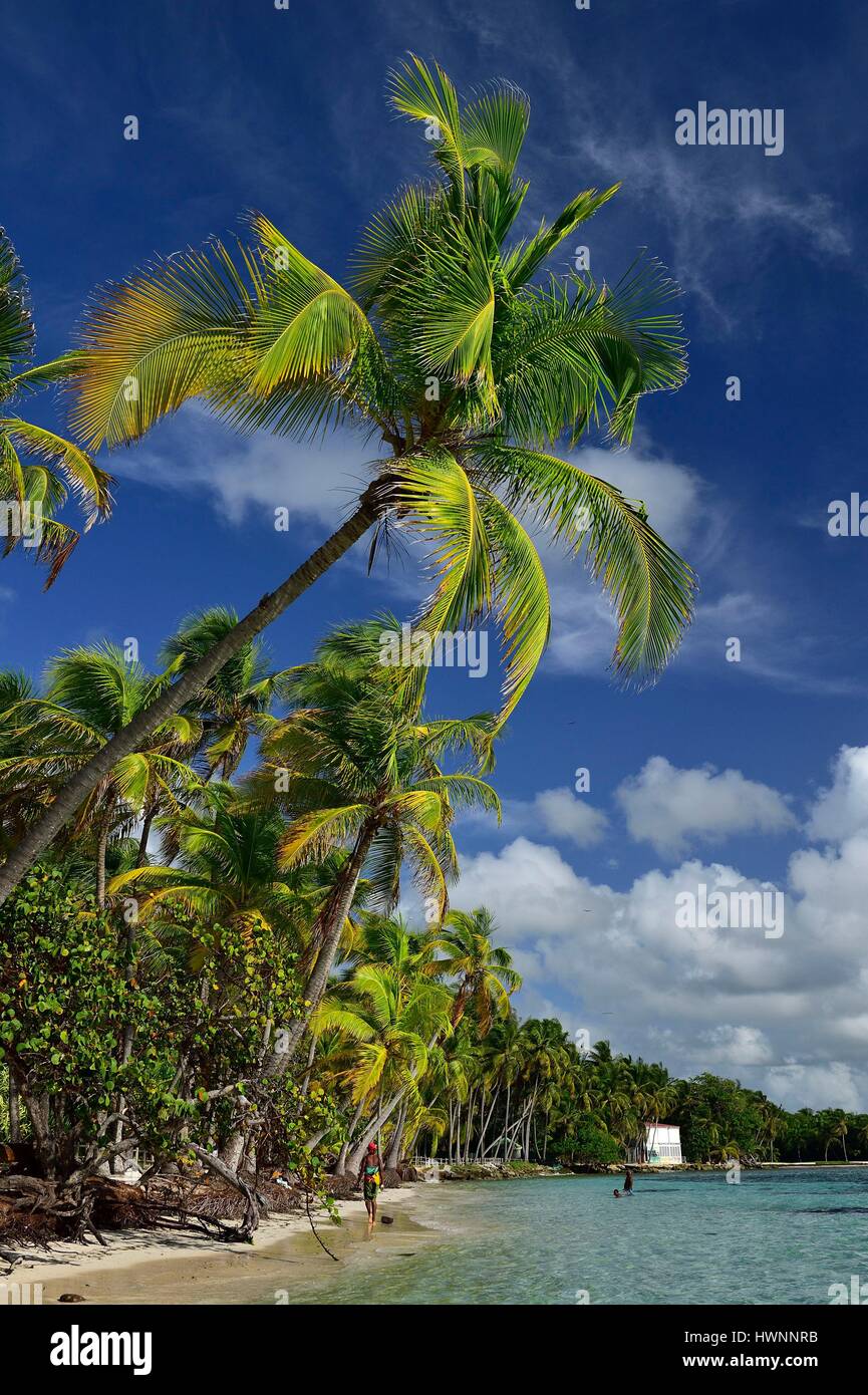 France, Guadeloupe (French West Indies), Grande Terre, Sainte Anne