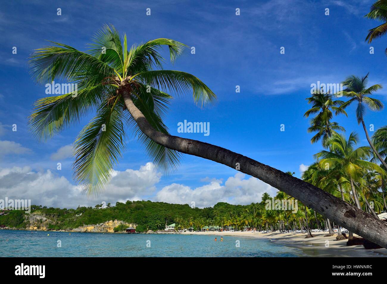 France Guadeloupe French West Indies Grande Terre