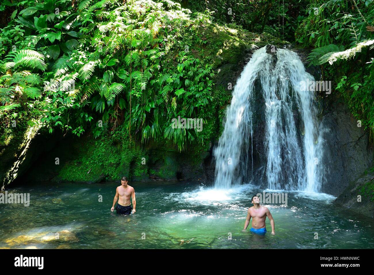 France, Guadeloupe (French West Indies), Basse Terre, Guadeloupe ...