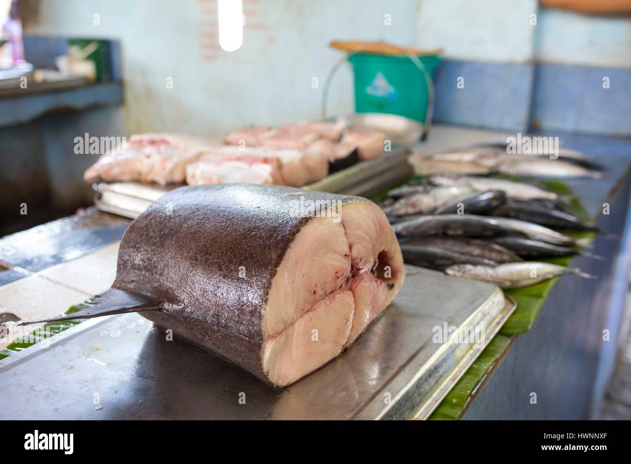 Philippines, Luzon, Sorsogon Province, Donsol, piece of sailfish at fish market Stock Photo