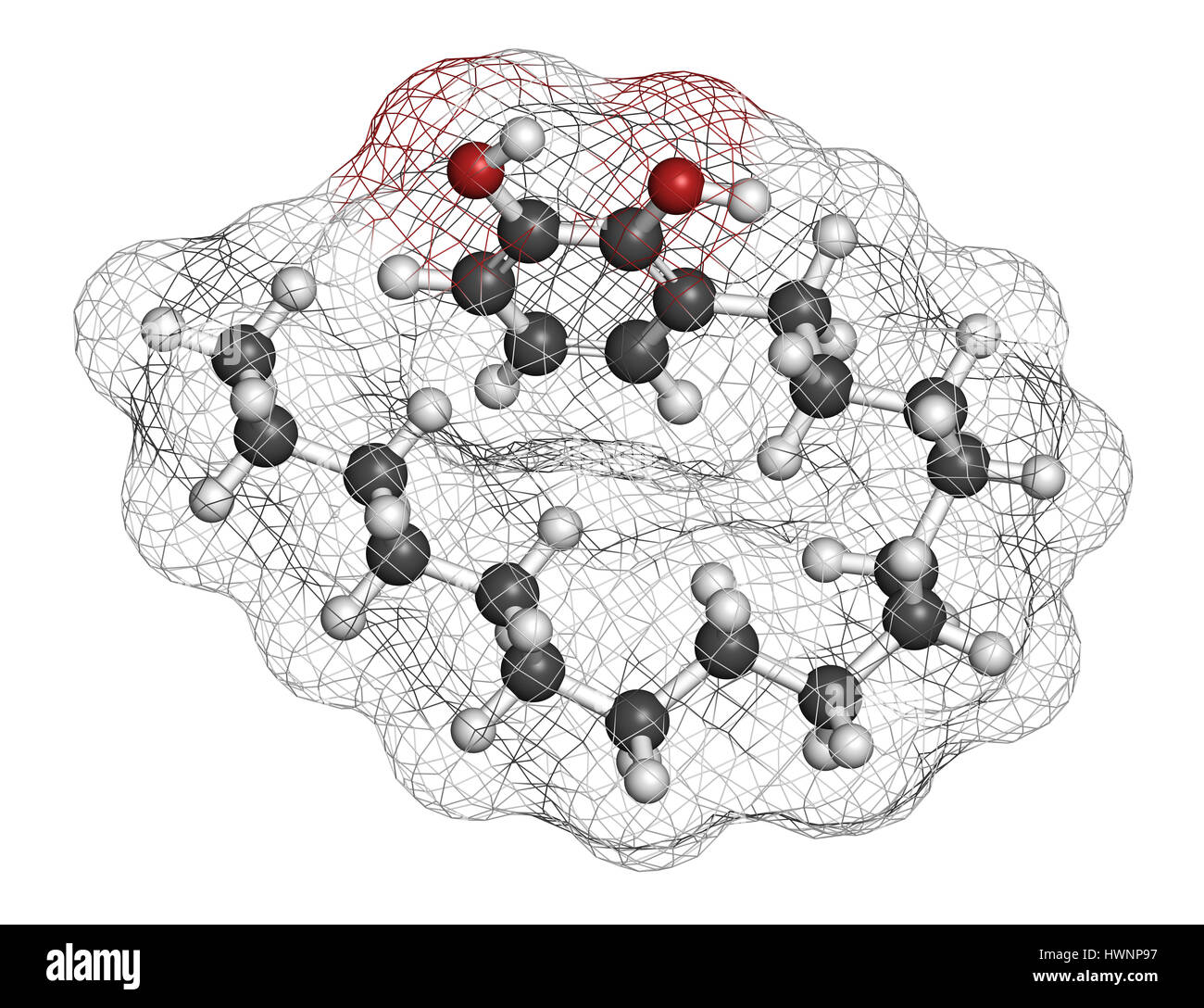 Urushiol poison ivy allergen molecule. Also present in poison oak