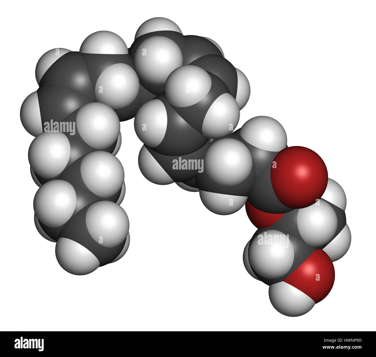 2-Arachidonoylglycerol (2-AG) endocannabinoid neurotransmitter molecule ...