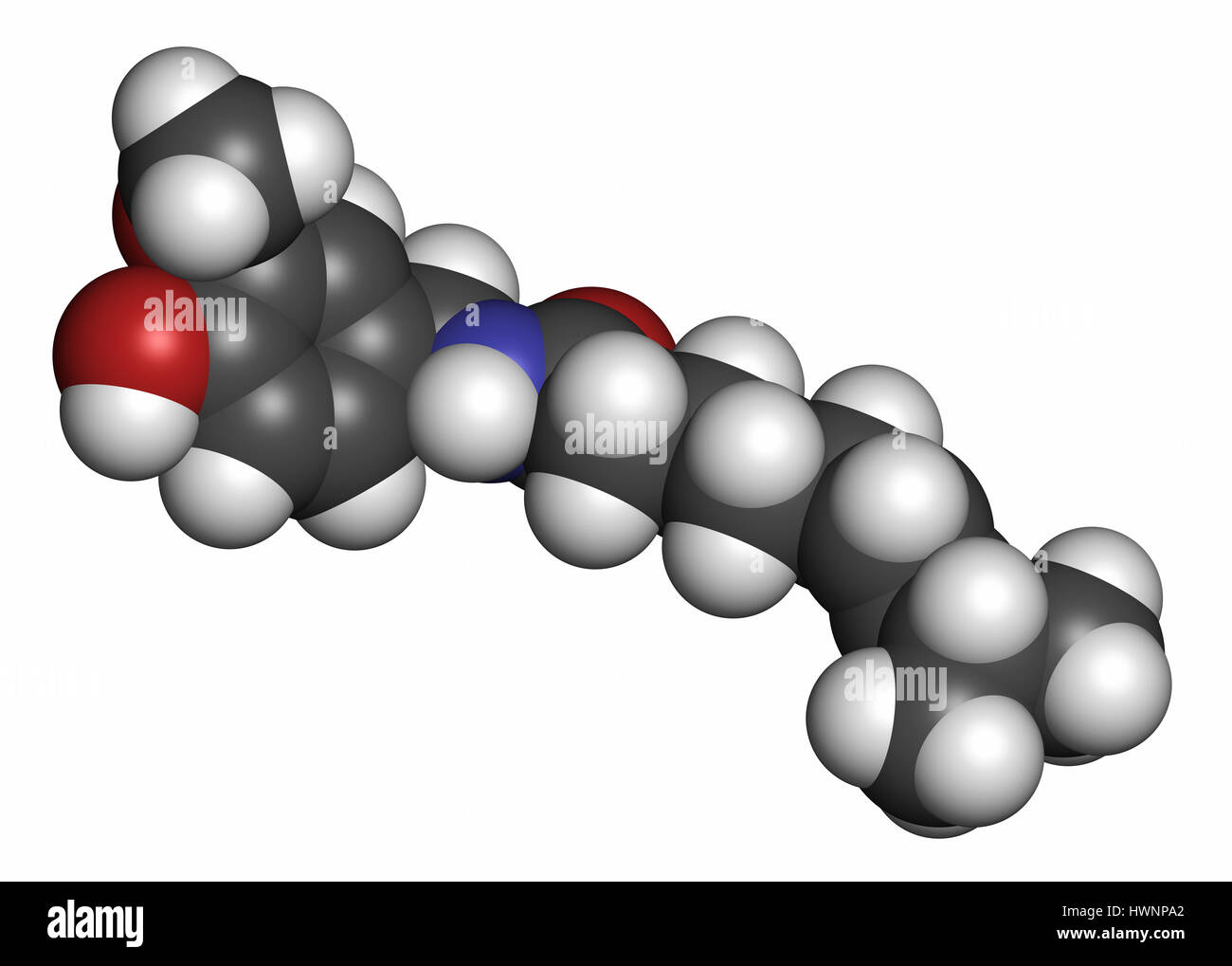 Capsaicin chili pepper molecule. Used in food, drugs, pepper spray, etc