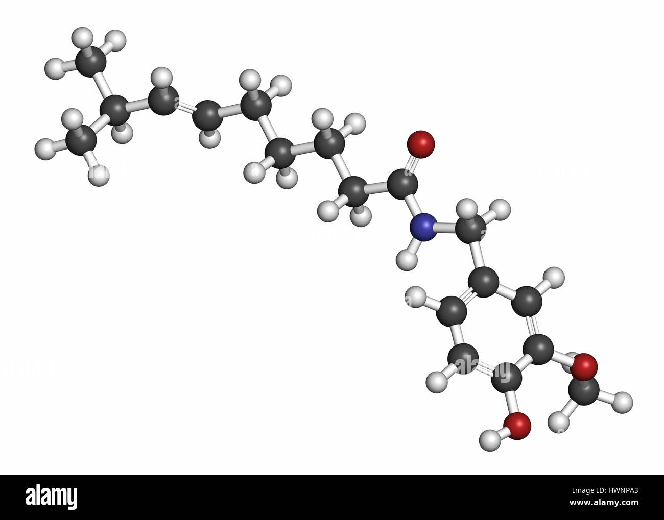 Capsaicin chili pepper molecule. Used in food, drugs, pepper spray, etc