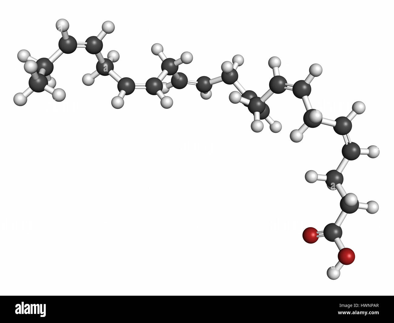 Docosahexaenoic acid (DHA, cervonic acid) molecule. Polyunsaturated