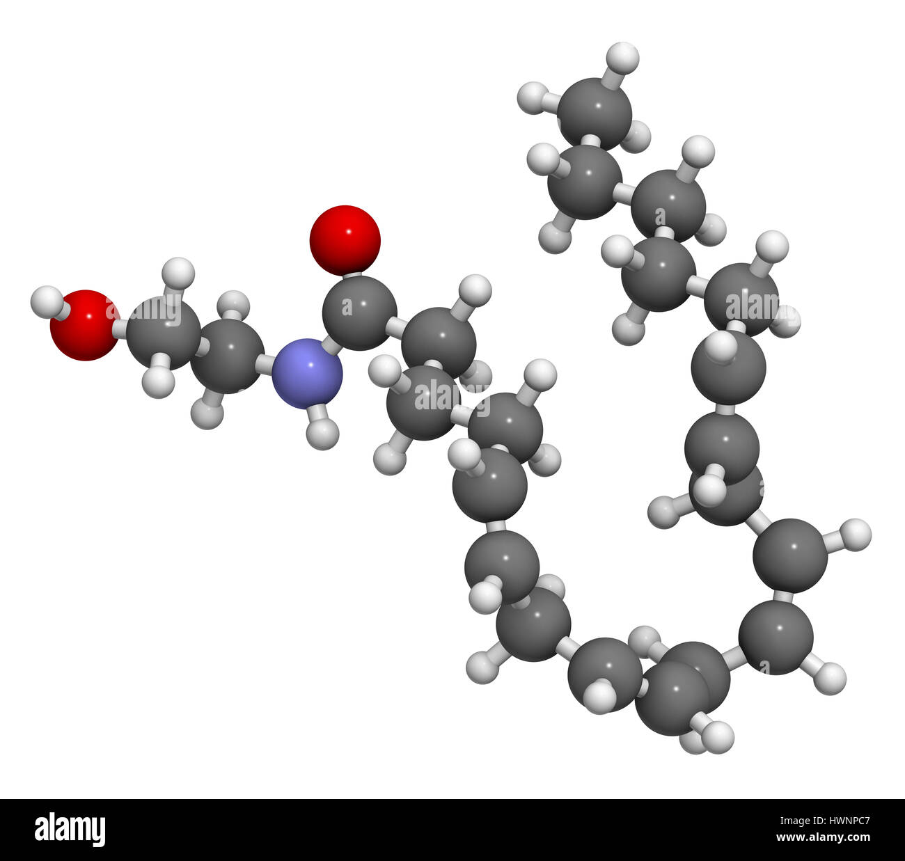 Vetores de Molécula De Anandamida É O Neurotransmissor Canabinoide Endógeno  Modelo Estrutural Fórmula E Molécula Químico Folha De Papel Em Uma Gaiola e  mais imagens de Alimentar - iStock