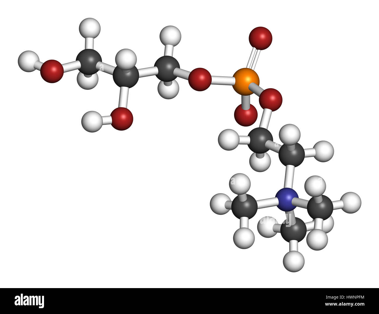 Alpha Glycerylphosphorylcholine Gpc Brain Mind Article