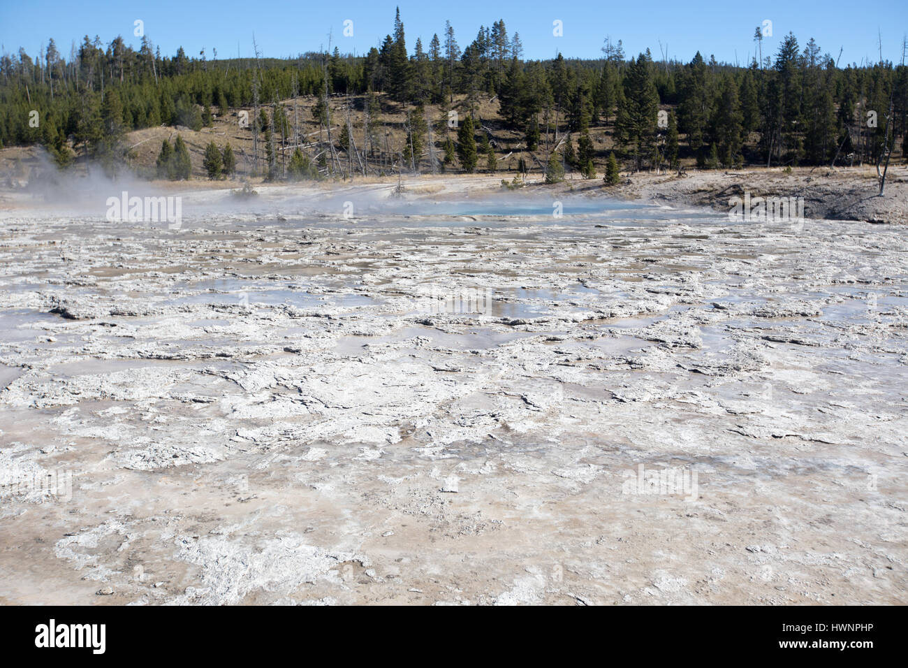 The Oblong Geyser in the Upper Geyser Basin at Yellowstone National Park October 12, 2015 in Yellowstone, Wyoming. Stock Photo