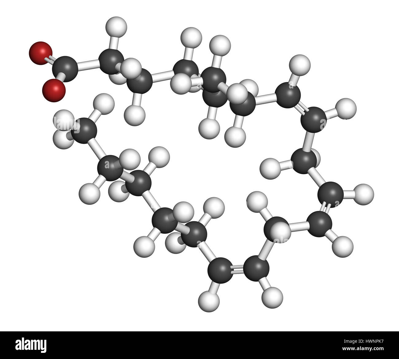 Dihomo gamma linolenic acid hires stock photography and images Alamy