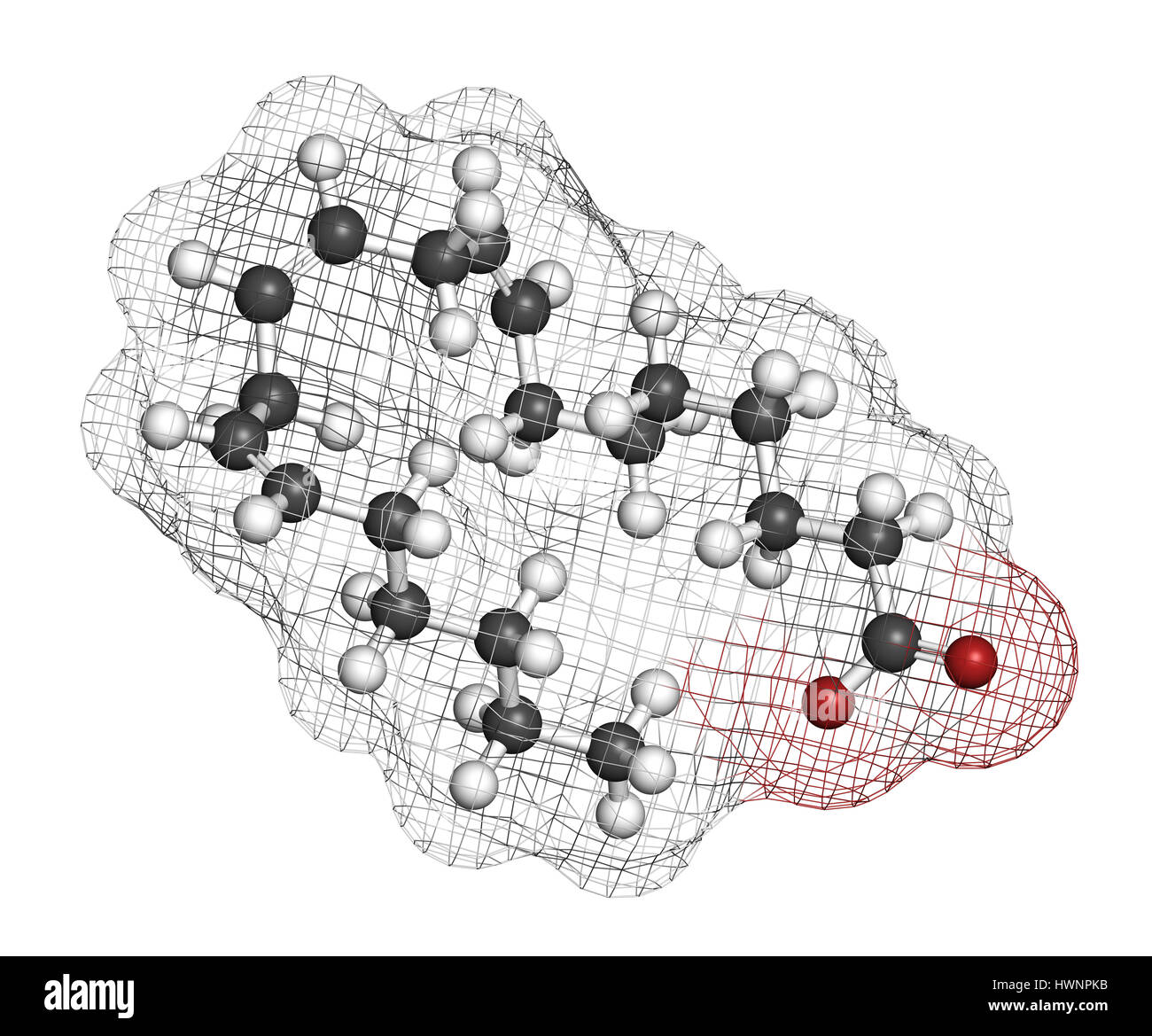 Dihomoγlinolenic acid (DGLA) fatty acid molecule. Omega 6fatty acid