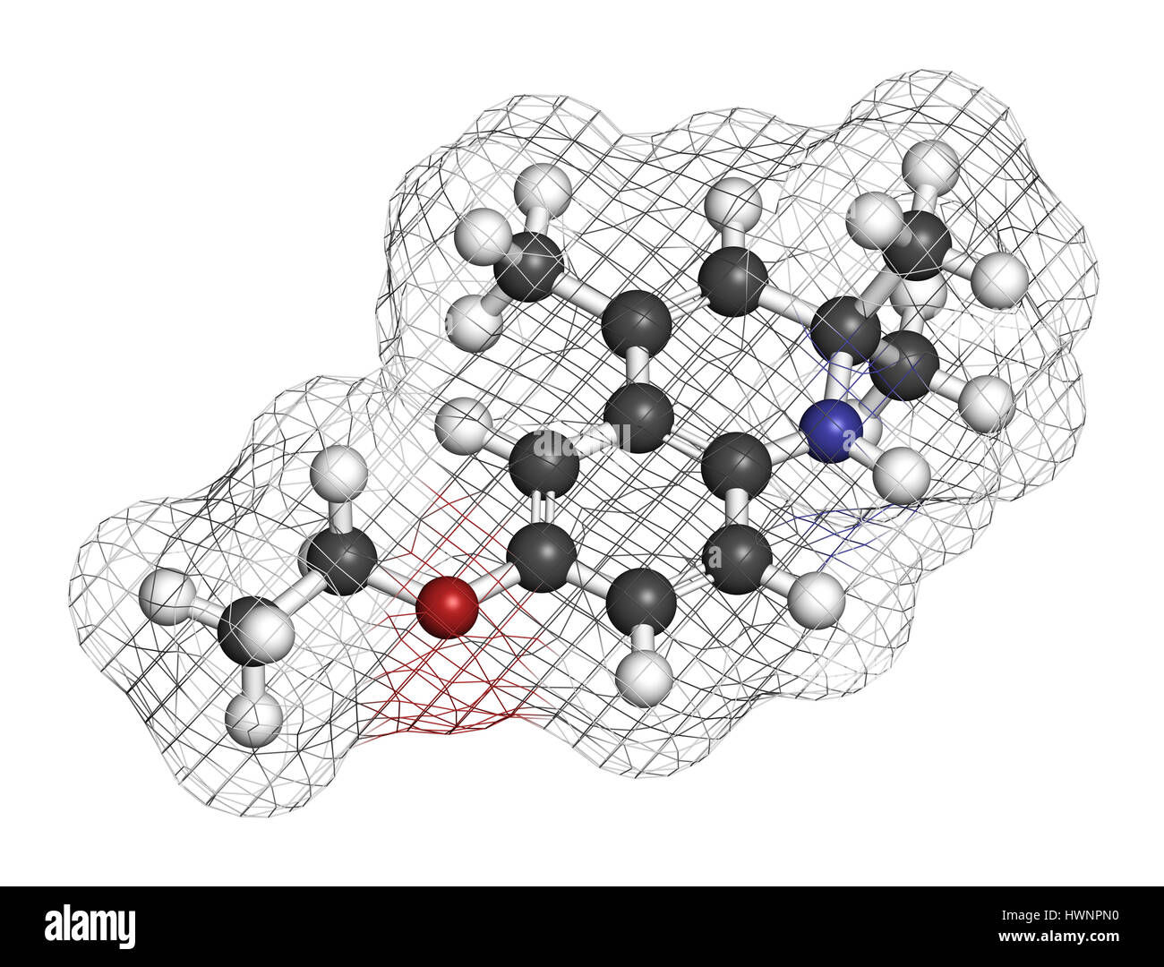 Ethoxyquin antioxidant food preservative molecule. Also used to control