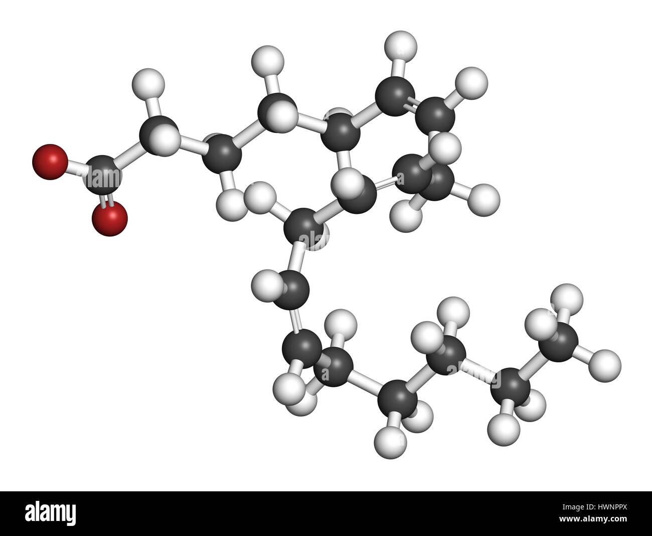 Gammalinolenic acid (GLA, gamolenic acid) molecule. Omega6 fatty acid