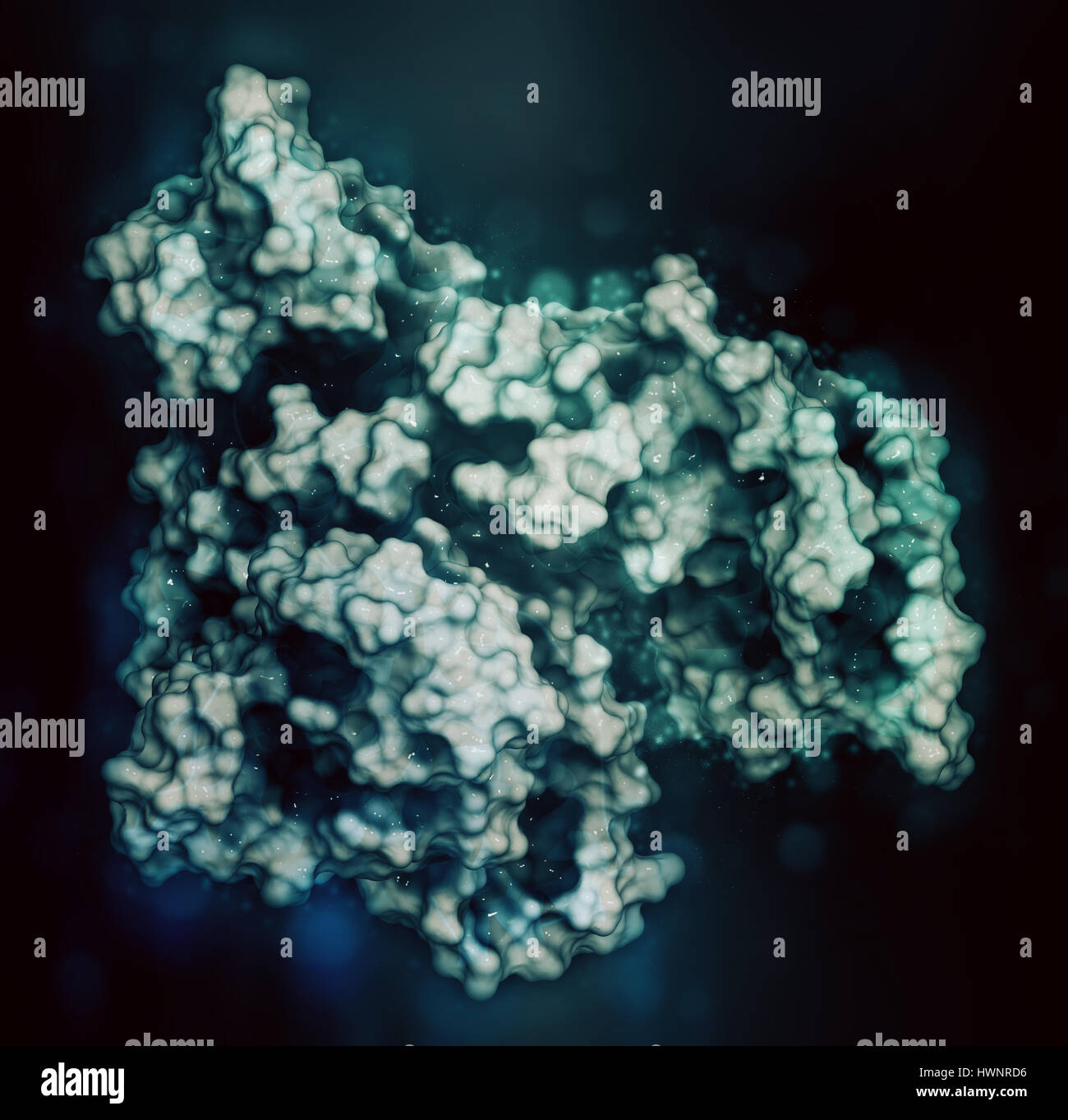 Human serum albumin protein, 3D rendering. Cartoon representation combined with semi-transparent surfaces. Stock Photo