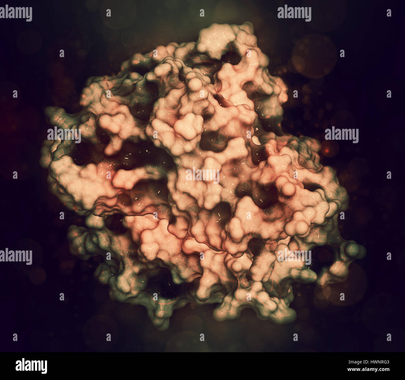 Tumor necrosis factor alpha (TNF) cytokine protein molecule, 3D rendering. Clinically used inhibitors include infliximab, adalimumab, certolizumab and Stock Photo