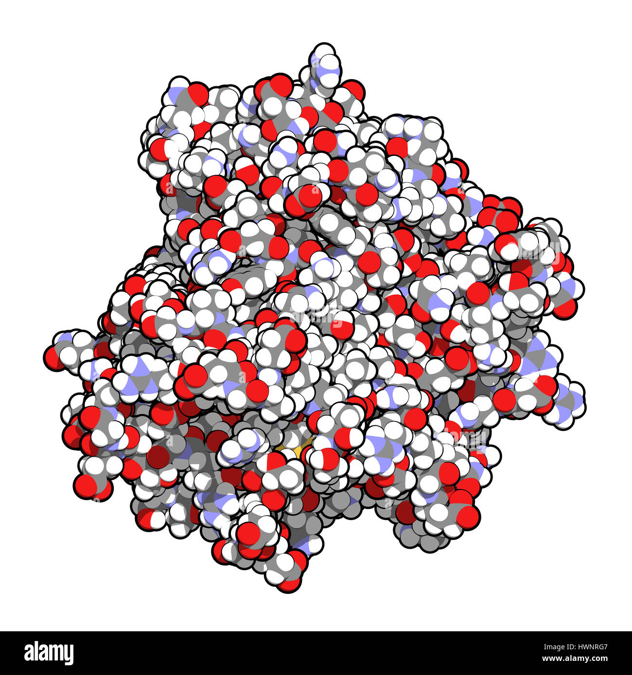 Tumor necrosis factor alpha (TNF) cytokine protein molecule, 3D rendering. Clinically used inhibitors include infliximab, adalimumab, certolizumab and Stock Photo