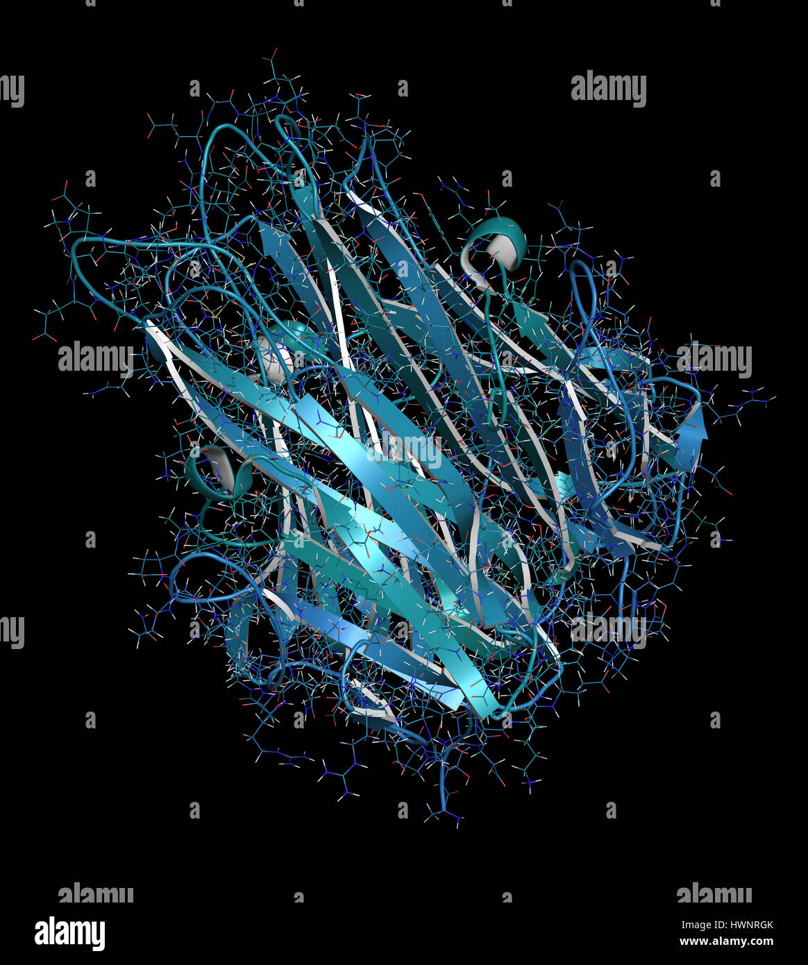 Tumor necrosis factor alpha (TNF) cytokine protein molecule, 3D rendering. Clinically used inhibitors include infliximab, adalimumab, certolizumab and Stock Photo