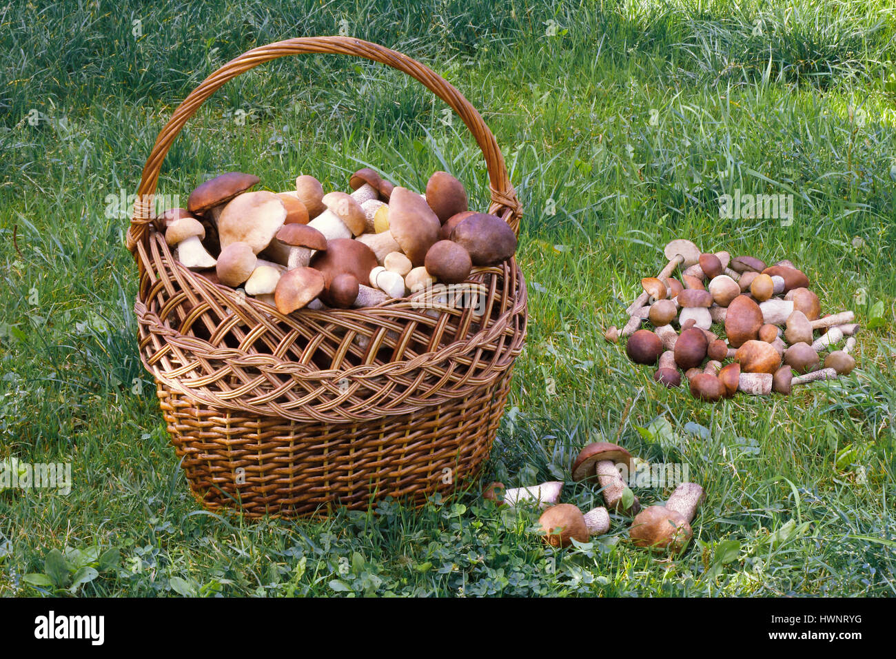 Kitchen baskets hi-res stock photography and images - Page 7 - Alamy