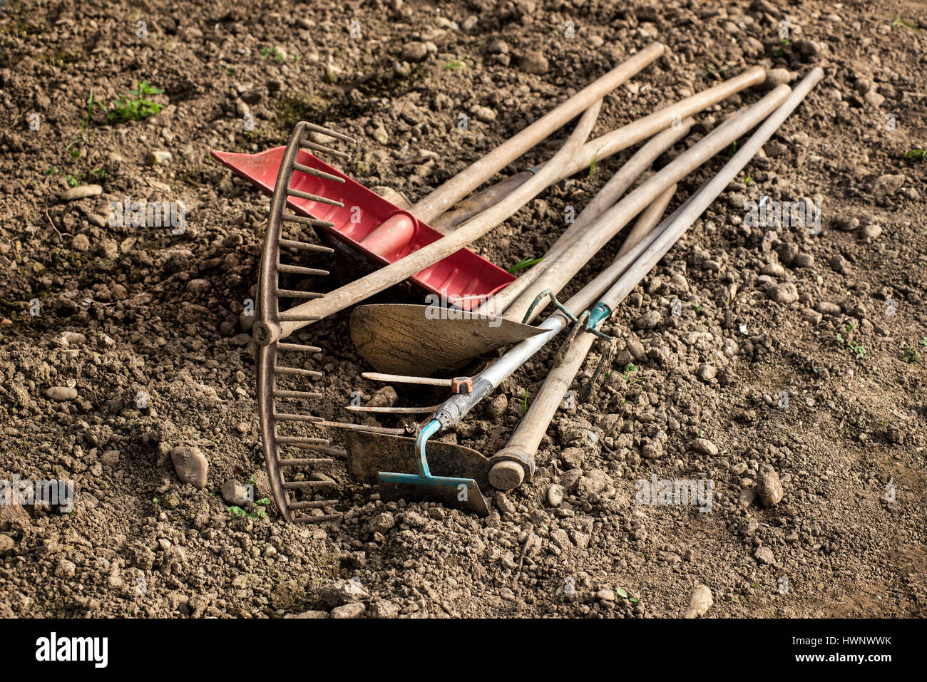 Assorted manual gardening or farming equipment lying on the ground with