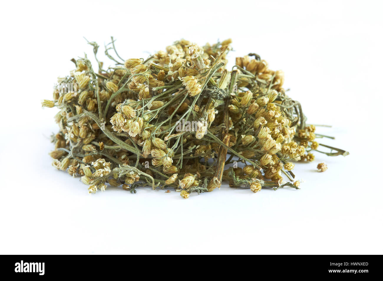 Pile of dried common yarrow isolated on white background Stock Photo