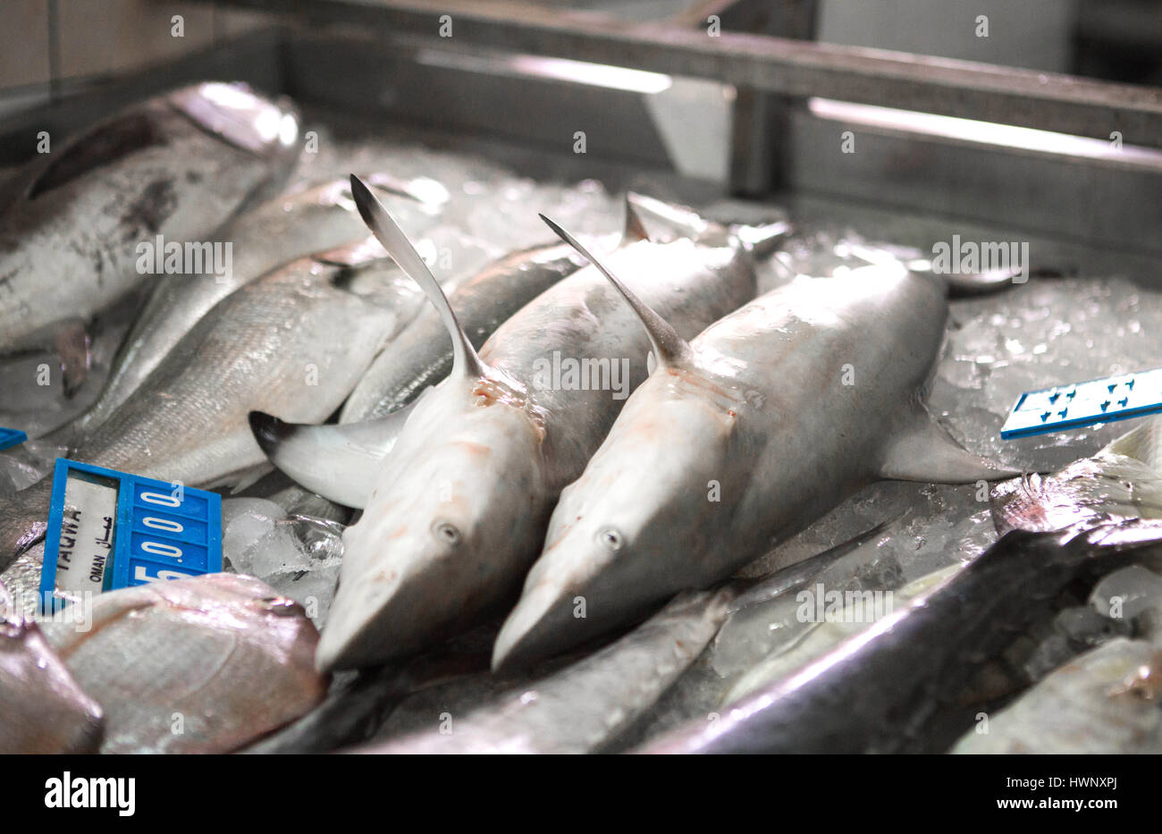 Fish Market of Abu Dhabi in The United Arab Emirates Stock Photo Alamy
