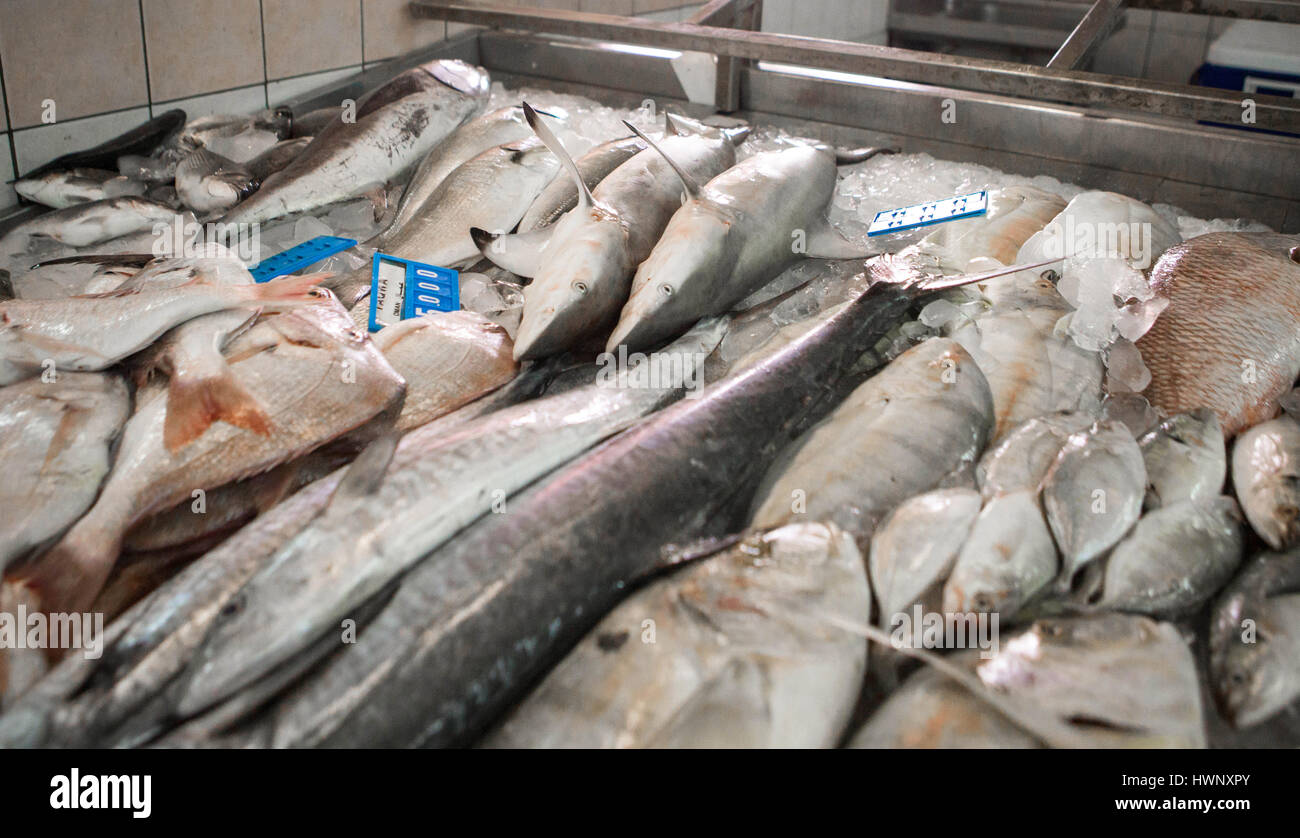 Fish Market of Abu Dhabi in The United Arab Emirates Stock Photo Alamy