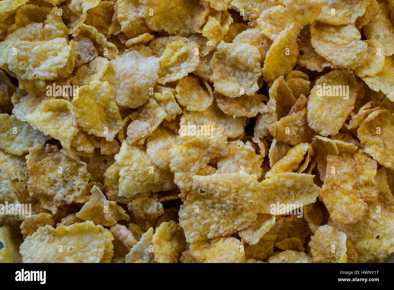 Dry corn flakes coated with sugar food texture or background Stock