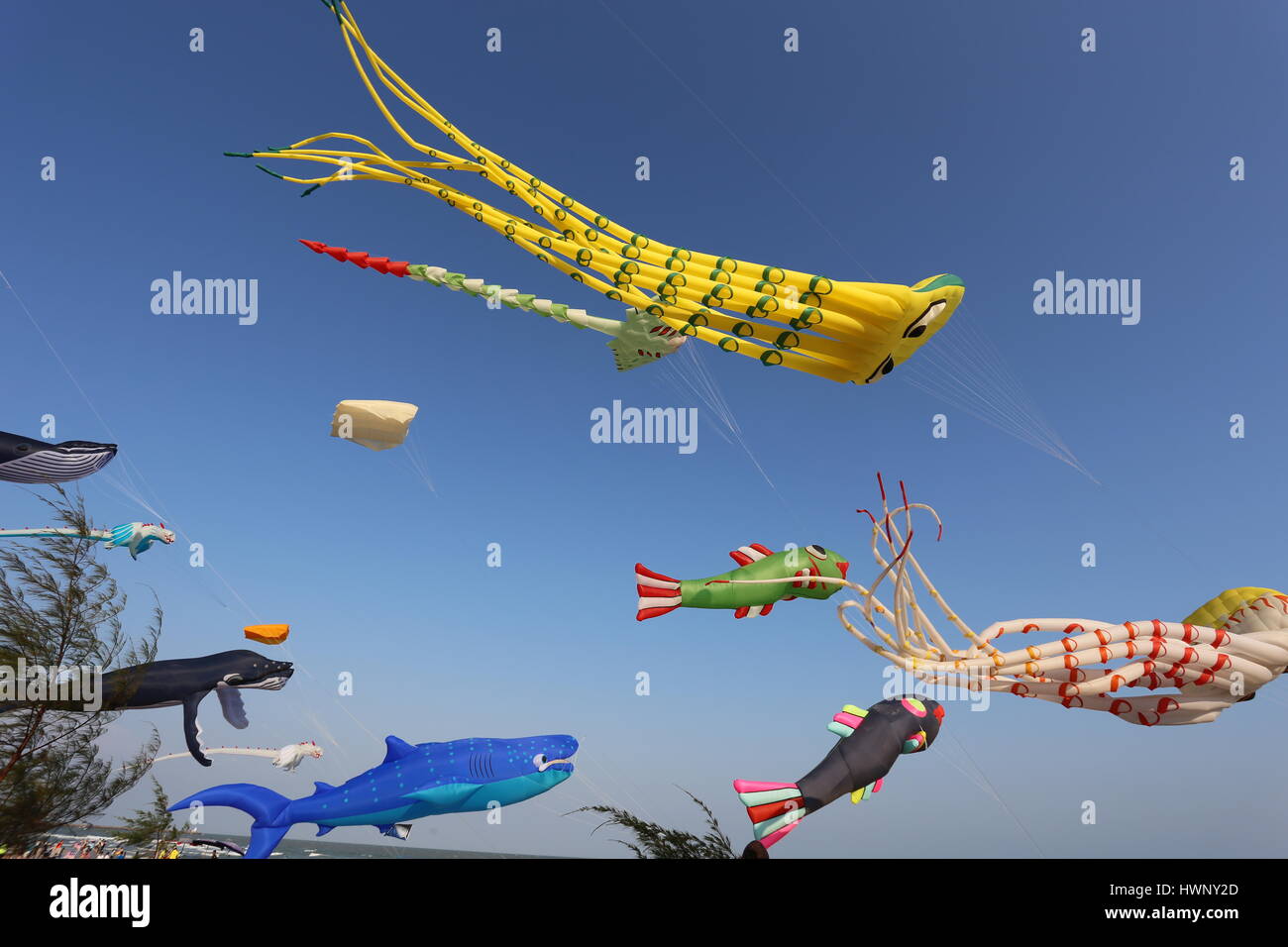 International Kite Festival Stock Photo Alamy