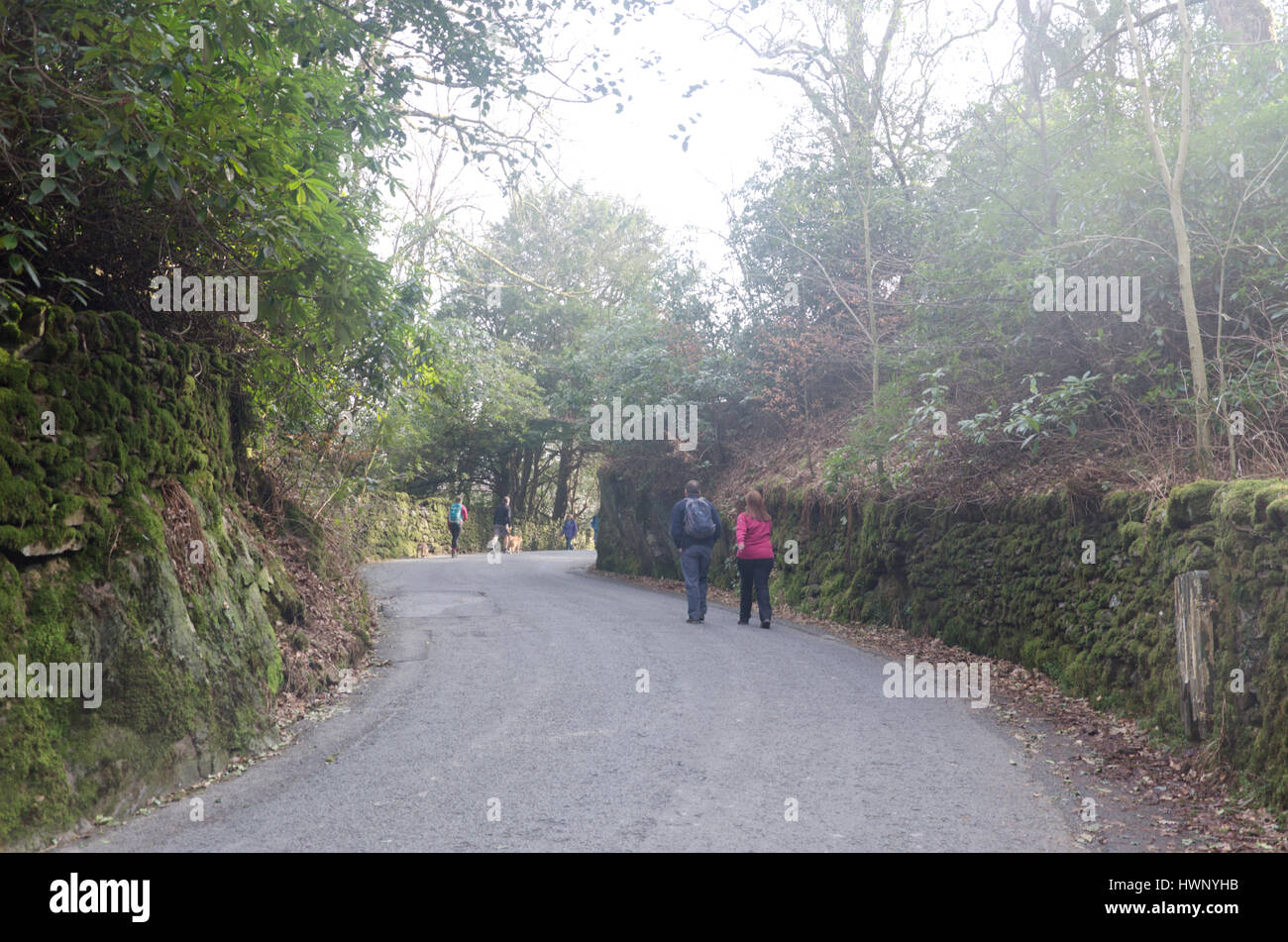 Ramblers on a winding road, Grasmere, Cumbria, Lake District Stock Photo