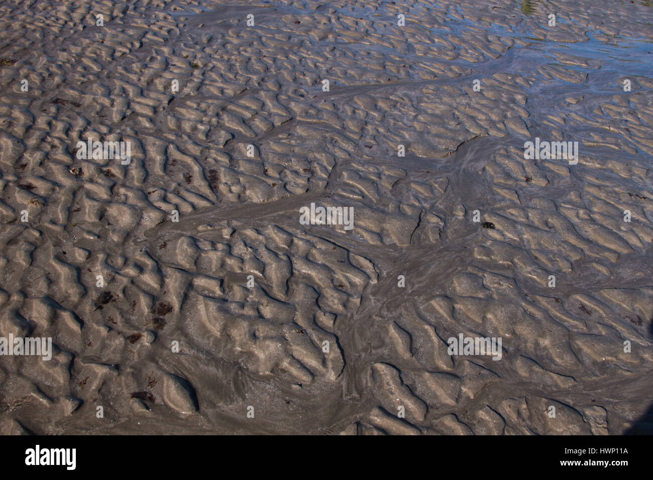 Sand ripples in low tide at Patacho beach, like tropical summer vacation. Stock Photo
