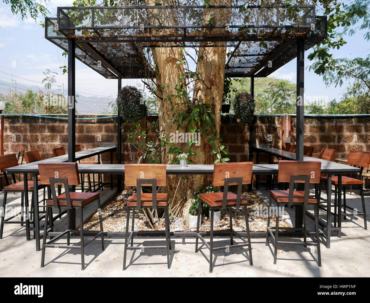 Bar table 2024 around tree