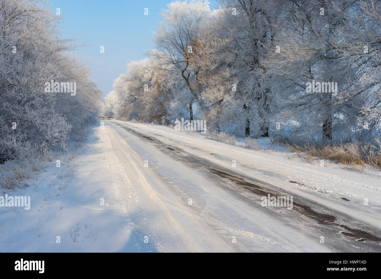 Winter landscape with slippery country road leading to Novo-Nikolaevka village in Dnepropetrovskaya oblast, Ukraine Stock Photo