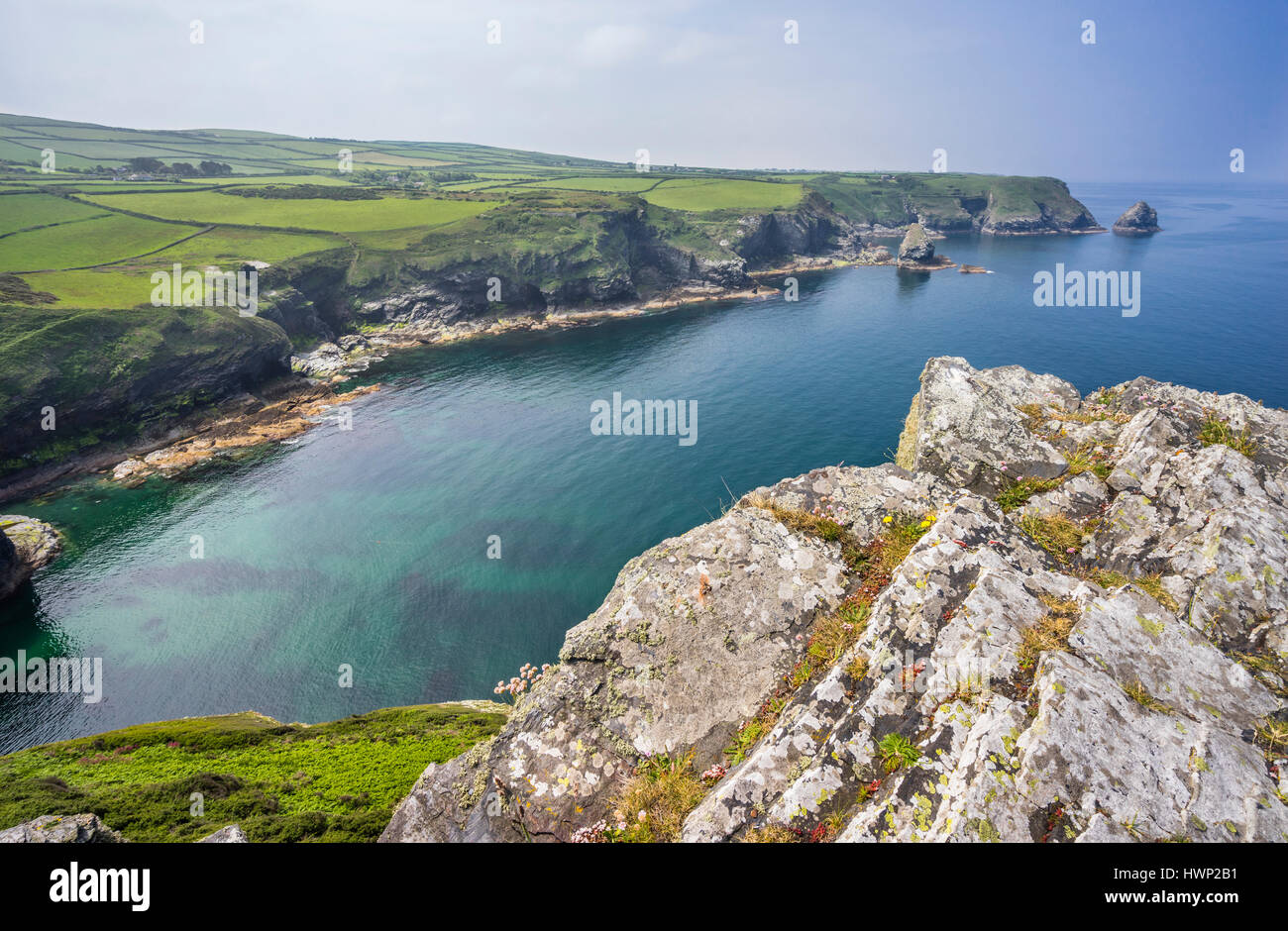 United Kingdom, South West England, Conwall, Cornish coast west of Boscastle Harbour with view of Western Blackapit Inlet, Grower Rock and Short Islan Stock Photo