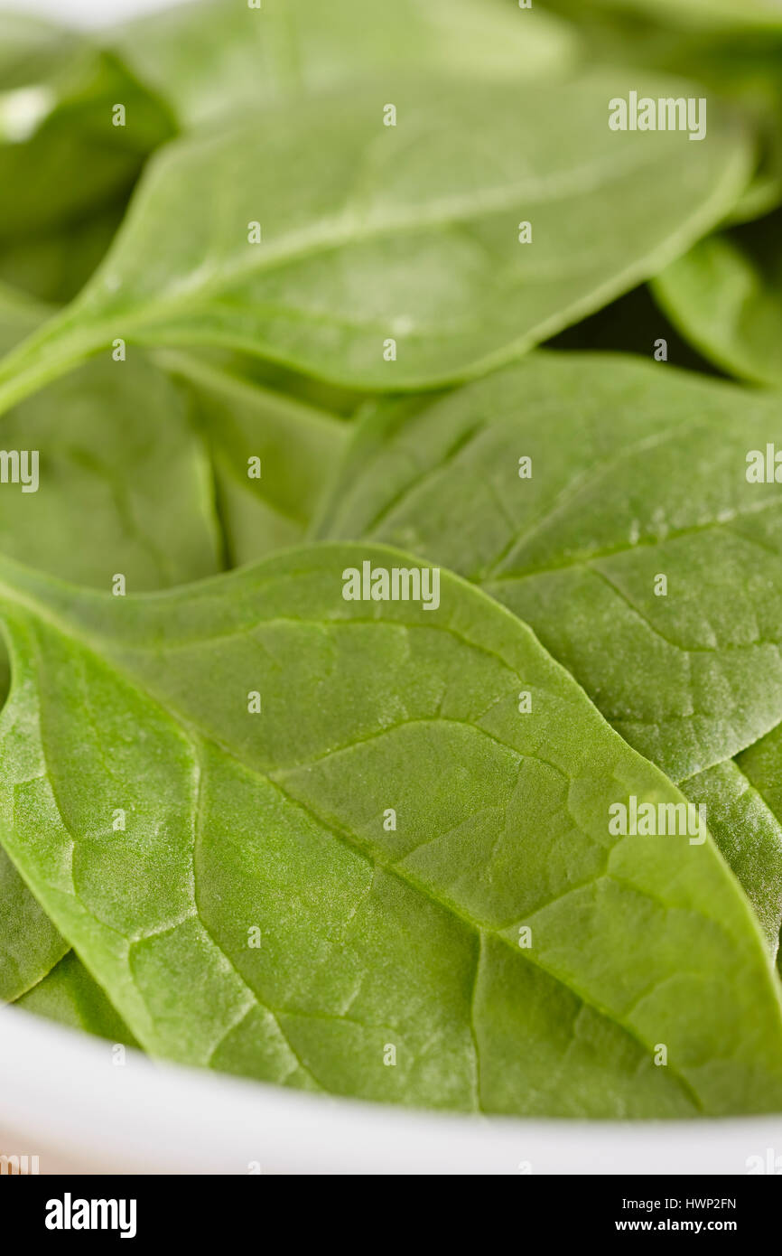 Fresh, raw, baby spinach leaves Stock Photo Alamy