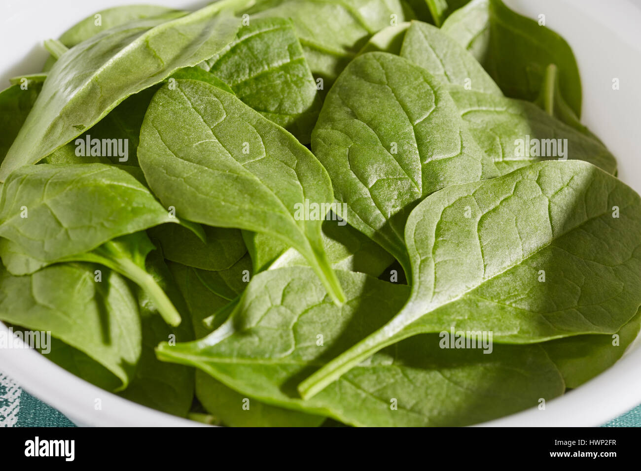 Fresh, raw, baby spinach leaves Stock Photo Alamy