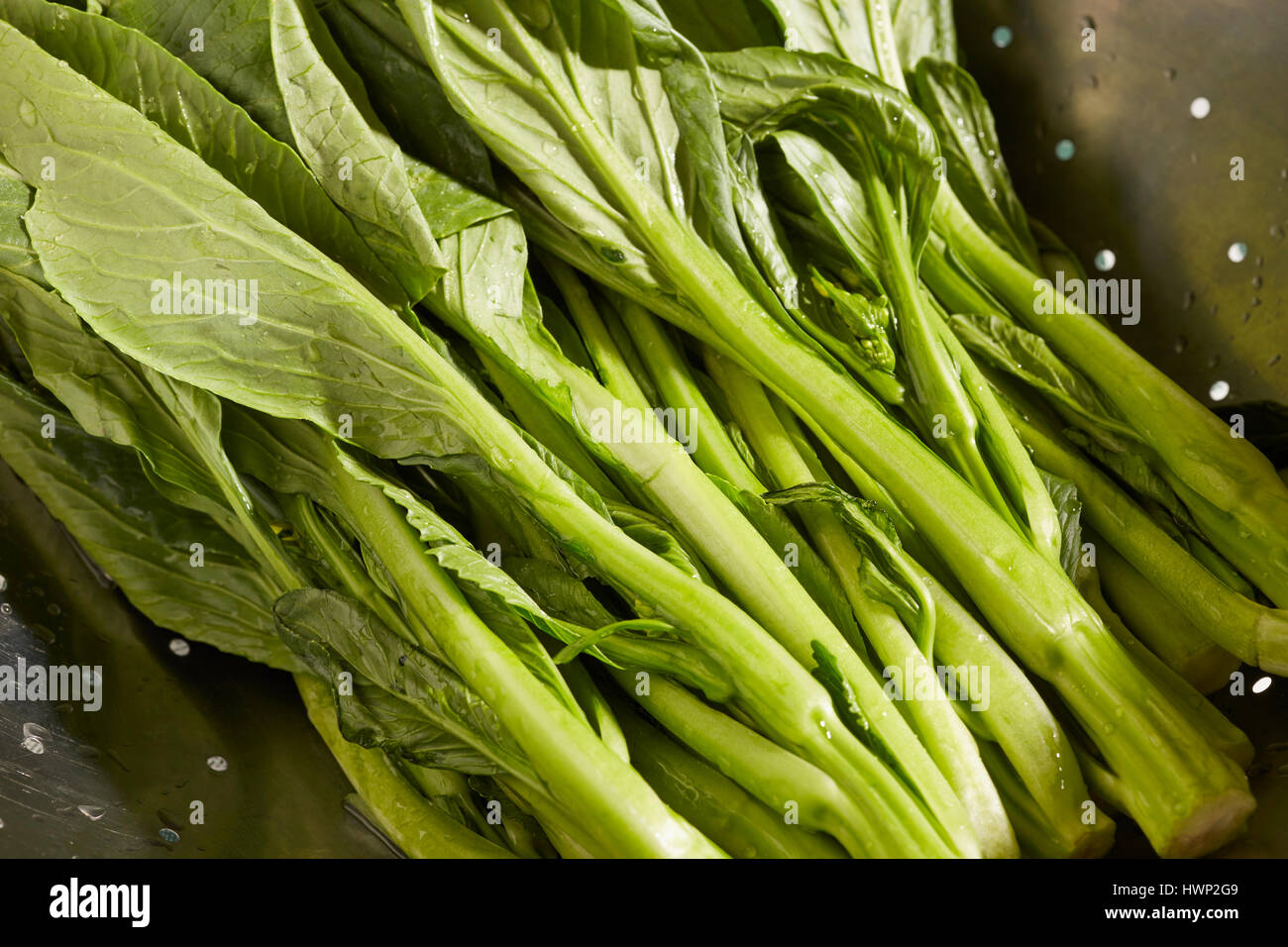 fresh, raw, Chinese Broccoli, vegetable, China, Asia, cooking, ingredient, cookery, cuisine, food, veg, veggies, healthy, natural Stock Photo